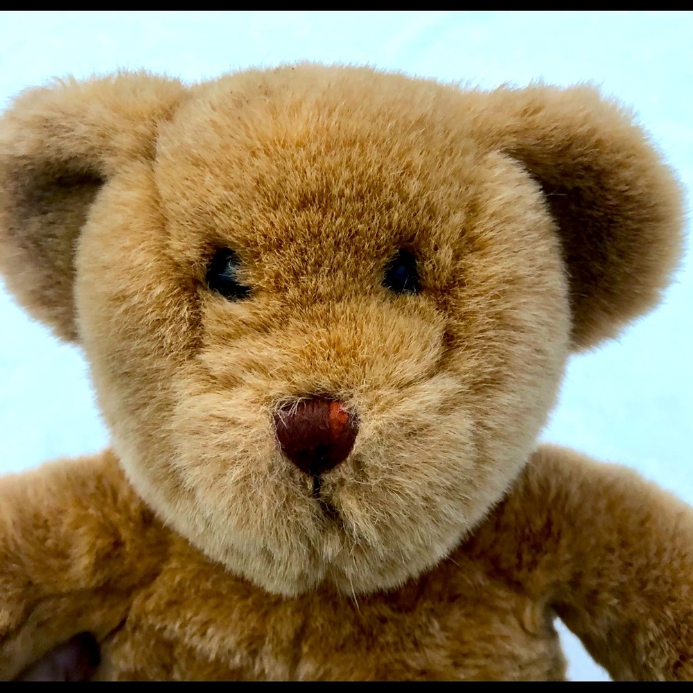 Build-a-Bear Teddy Bear Caramel Plush